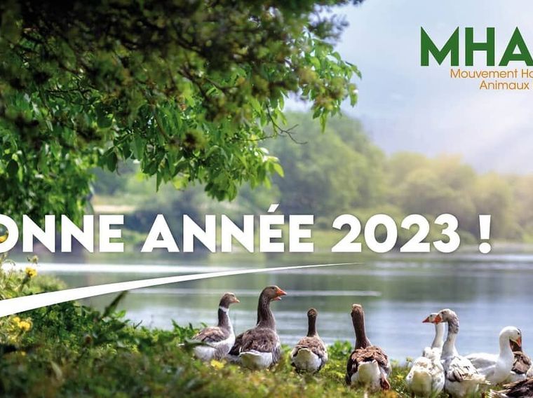 Le MHAN vous souhaite une heureuse année 2023 !